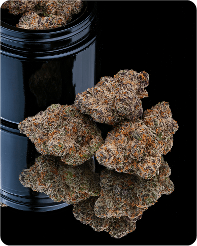 PAPAYA MOSA